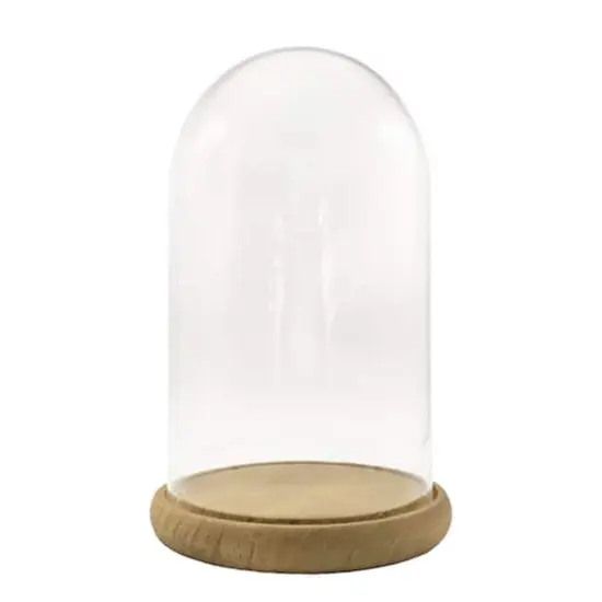9.5" Glass Cloche with Wood Base by Ashland&reg; {4}