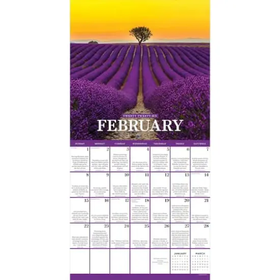 2026 Daily Verse Wall Calendar {3}