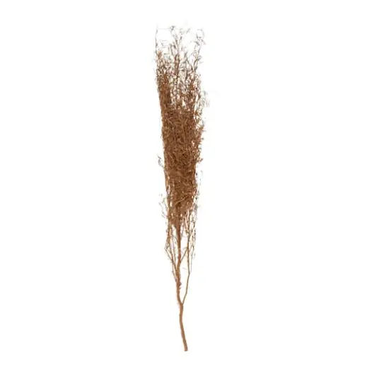 45" Brown Dried Natural Pampas Grass Foliage {3}