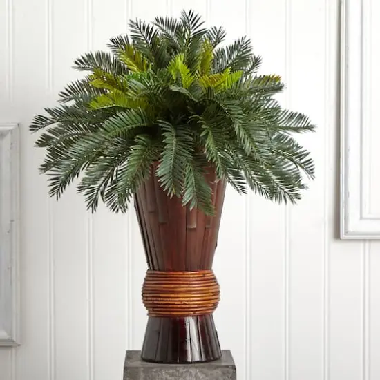 2.5ft Cycas Palm Tree in Bamboo Planter {4}