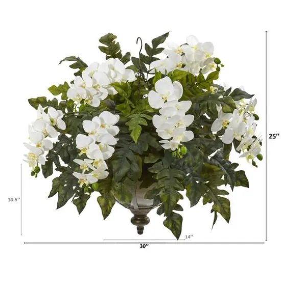 2ft. Cream Orchid & Holly Fern Arrangement in Metal Hanging Bowl {3}