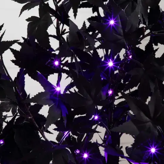 5ft. Pre-Lit Artificial Halloween Black Maple Tree with 240 Orange & Purple LED Lights {4}
