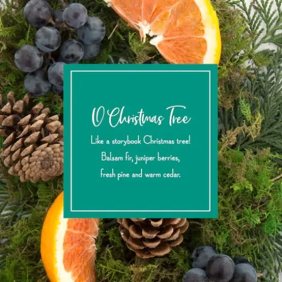 Scentsicles O Christmas Tree Scented Paper Stick Ornaments, 12ct. {5}