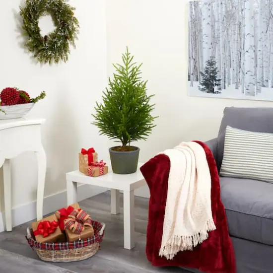 3ft. Unlit Norfolk Island Pine Artificial Potted Christmas Tree {5}