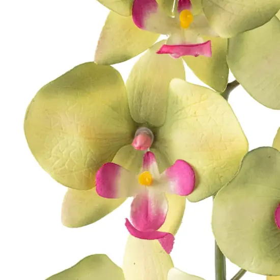 Orchid Spray by Ashland&reg; Green and Pink {4}