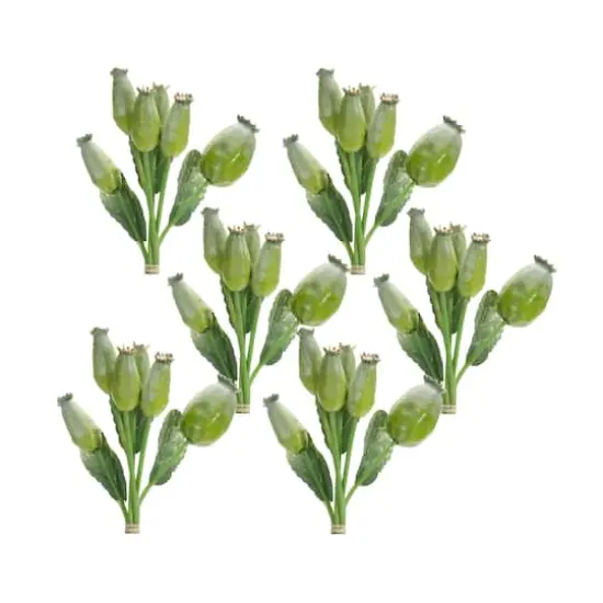 9.5" Green Poppy Pod Foliage Bundles, 6ct. {1}