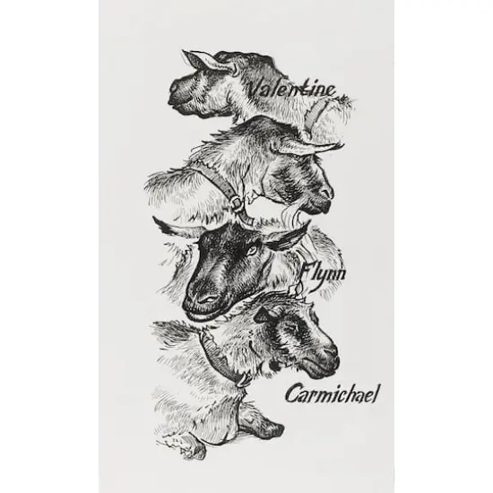 Faber-Castell&reg; PITT&reg; 0.1mm-0.7mm Black 4 Piece Artist Pen Set {4}