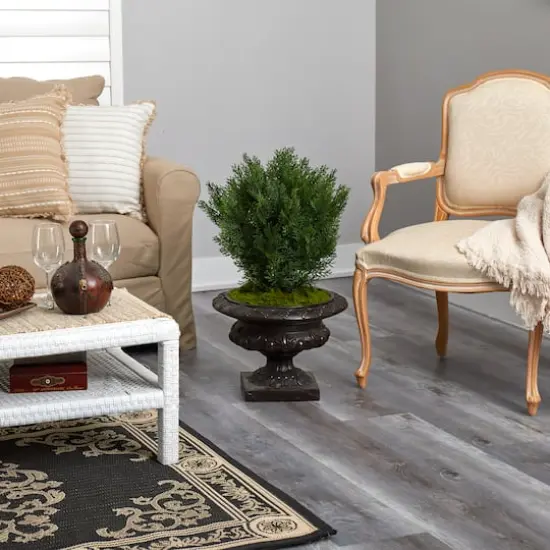 2.5ft. Cedar Tree in Iron Colored Urn {5}