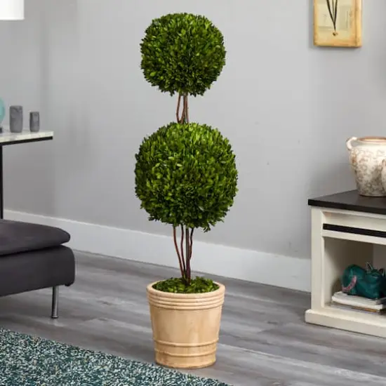 4ft. Boxwood Double Ball Topiary Tree in Planter {4}