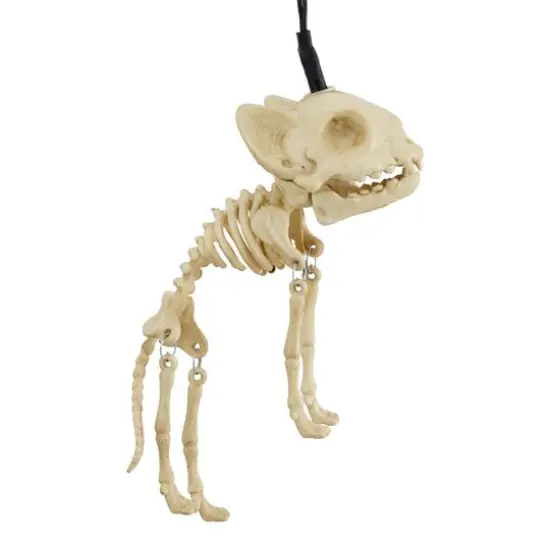 8ct. Skeleton Cats Icon LED String Lights by Ashland&reg; {4}