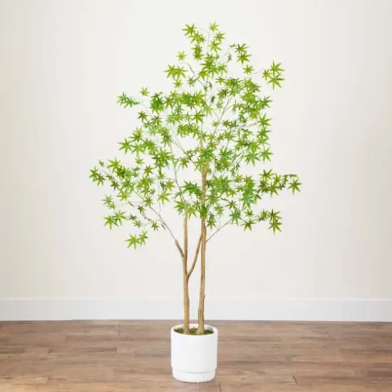 6ft. Maple Tree with White Planter {4}