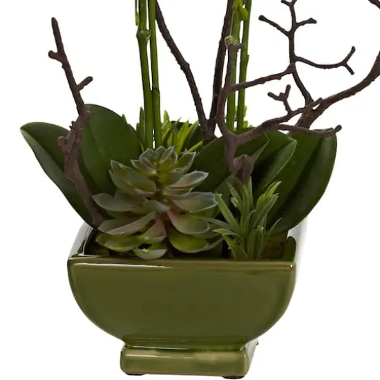 21" Orchid & Succulent Floral Arrangement in Ceramic Pot {4}