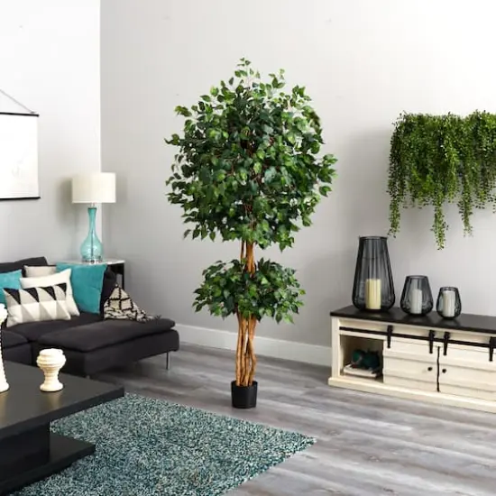 6ft. Potted Double Ball Ficus Silk Tree {7}