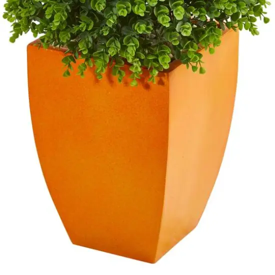 5ft. Eucalyptus Topiary in Orange Planter {4}