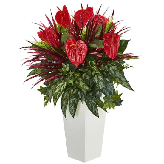 2.5ft. Red Laceleaf in White Tower Vase {1}