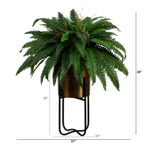 3ft. Boston Fern in Brass Metal Planter with Stand {6}