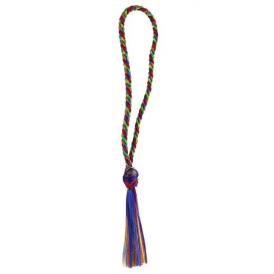 PA Paper&trade; Accents Rainbow Tassels, 24ct. {3}