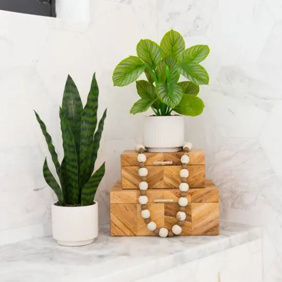 12" Artificial Calathea Plant with Decorative Planter {7}
