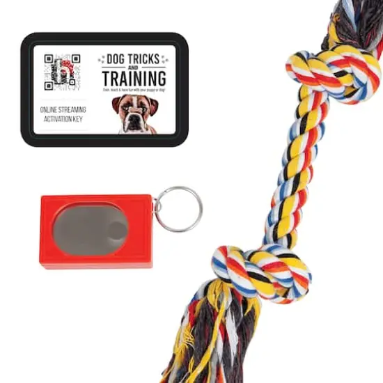 Hinkler Dog Pet Care Tricks & Training Box Set {4}