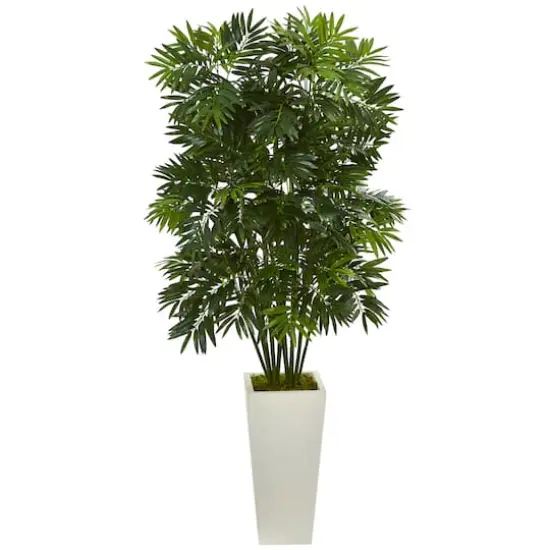 4ft. Mini Bamboo Palm Tree in White Tower Planter {1}