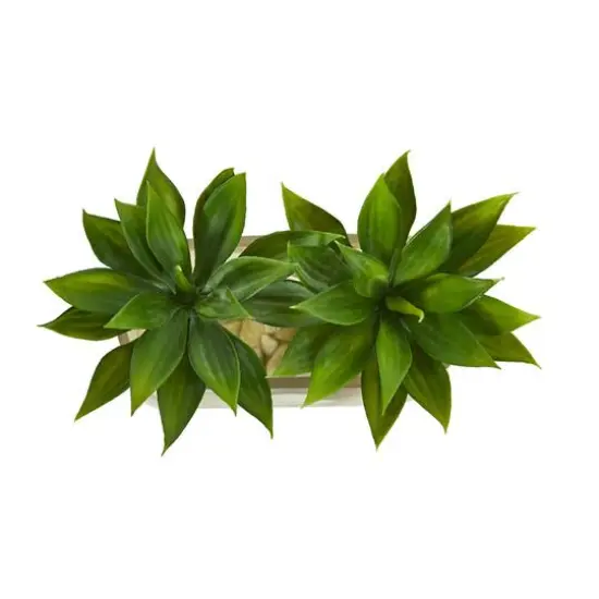 6.5" Mini Agave Succulent Arrangement in Glass Vase {6}