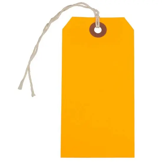 JAM Paper Medium Gift Tags with String Neon Orange {1}