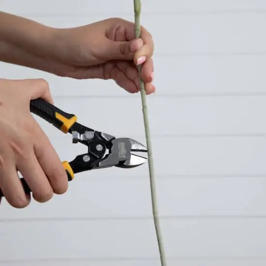 33" White Delphinium Flower Stems, 3ct. {6}