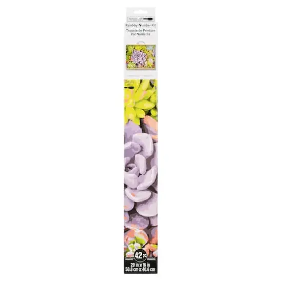 Succulents Paint-by-Number Kit by Artist's Loft&reg; {4}