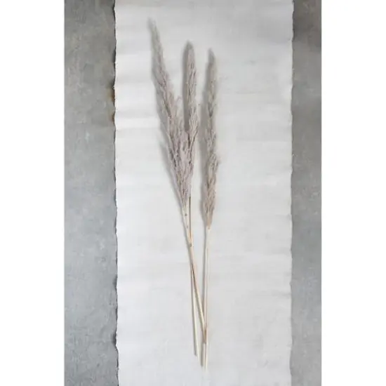 Hello Honey&reg; Dried Natural Pampas Grass Bunch {3}