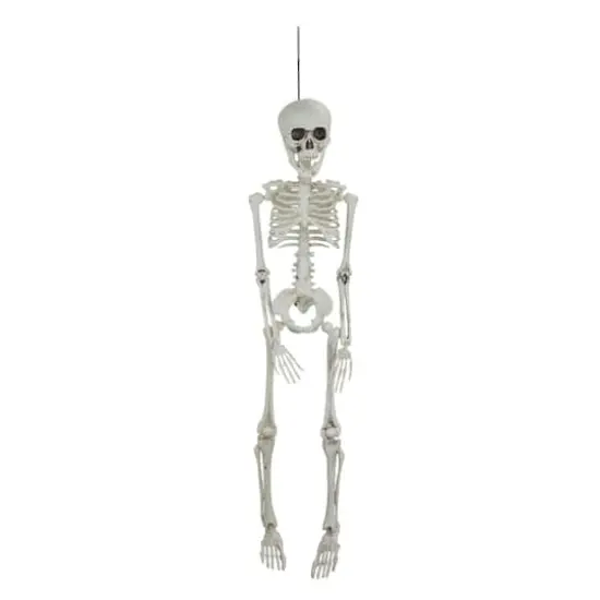 20" Jointed Skeleton Hanging Halloween Decoration {1}