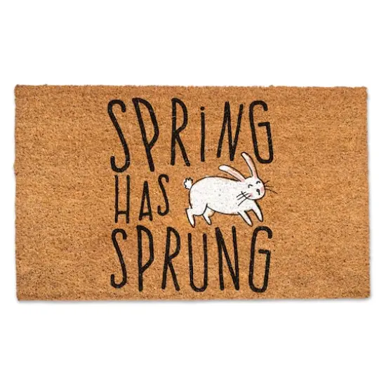 Spring Has Sprung 30" x 18" Door Mat {1}