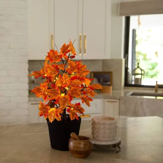 2ft. Pre-Lit Autumn Maple Artificial Fall Tree with Acorns & Pinecones and 18 Warm White LED Lights {9}