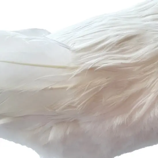 7.5" White Crow by Ashland&reg; {5}