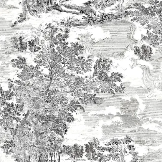 Surface Style Serene Scenes Toile Peel & Stick Wallpaper Charcoal {1}