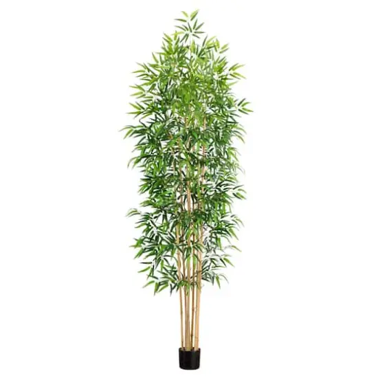 9ft. Potted Bamboo Tree with Real Bamboo Trunks {1}