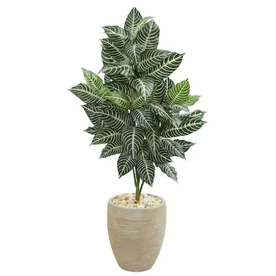 4ft. Zebra Plant in Sand Colored Planter {1}