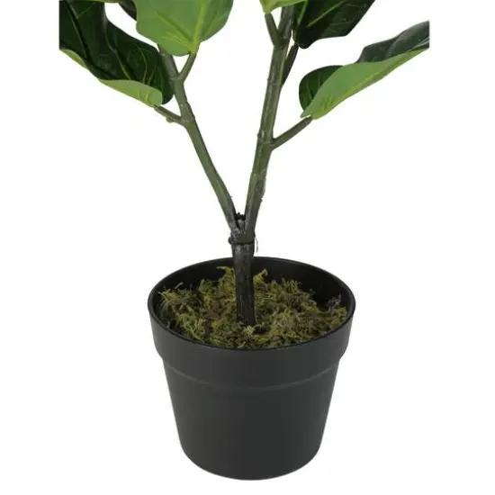 2.4ft. Potted Dark Green Fiddle Leaf Fig Plant {5}