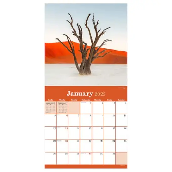 TF Publishing 2025 Trees Wall Calendar {6}