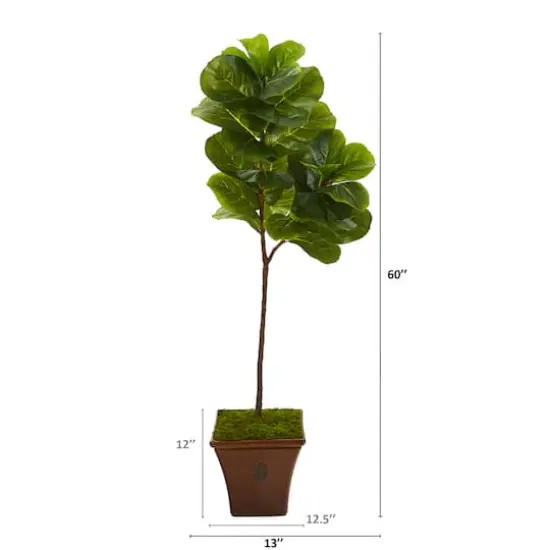 5ft. Fiddle Leaf Tree in Brown Planter {3}