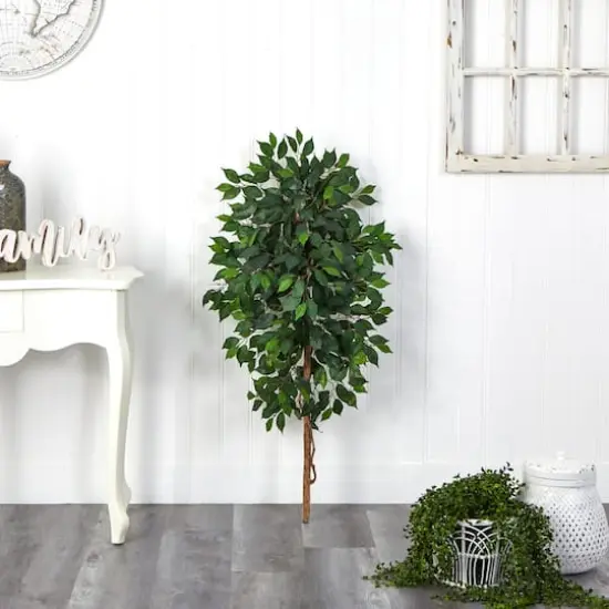 4ft. Single Ficus Tree {4}