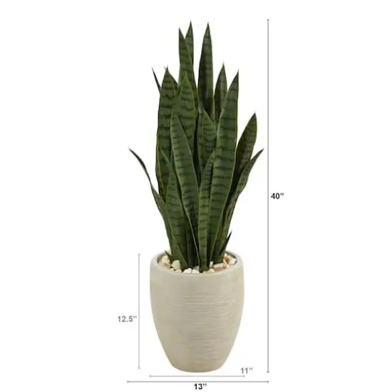 3ft. Snake Plant in Sand Colored Planter {3}