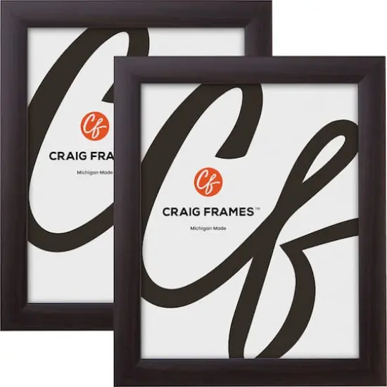 2 Pack Craig Frames Contemporary Brazilian Walnut Picture Frame {1}