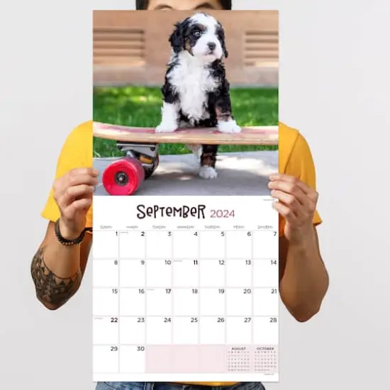 TF Publishing 2024 Puppies Wall Calendar {6}