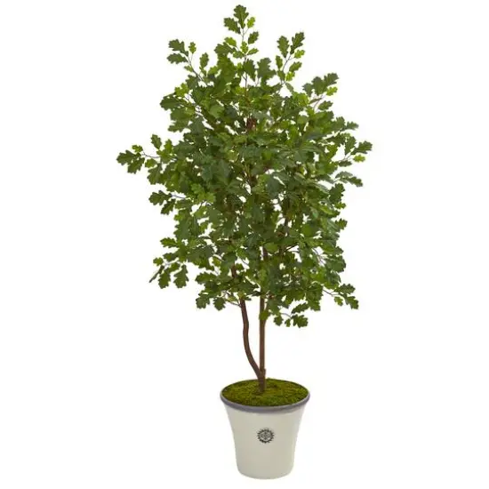 4.5ft. Oak Tree in Decorative Planter {1}