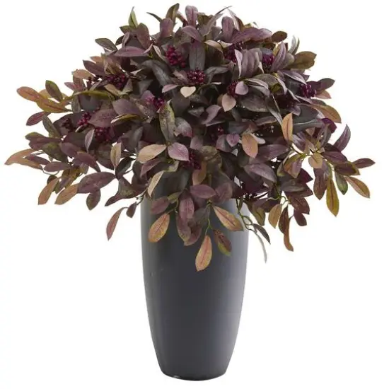 2.9ft. Fall Laurel with Berries Plant in Gray Planter {1}