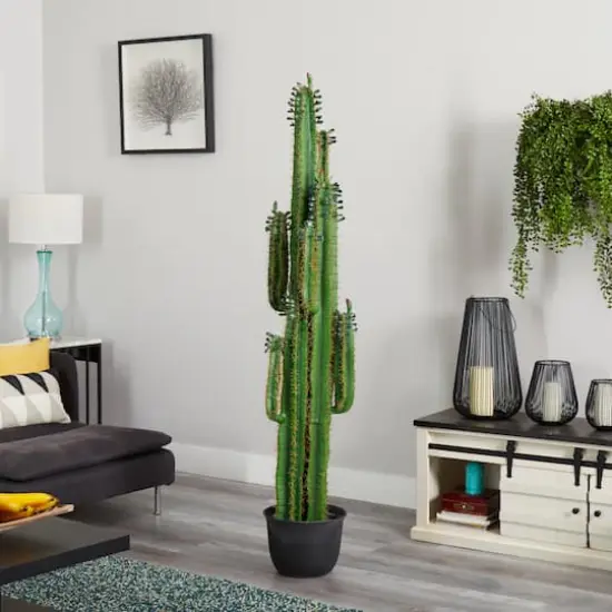 6.5ft. Potted Cactus Plant {3}