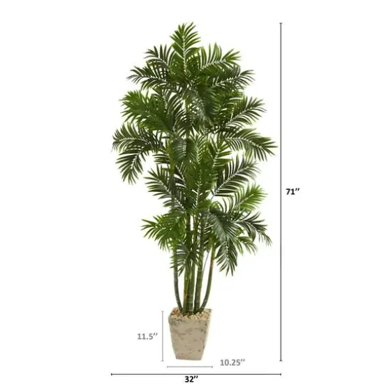 6ft. Areca Palm Tree in Country White Planter {3}