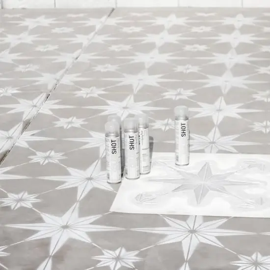 COLORSHOT&reg; Premium Gloss Spray Paint Marshmellow {6}