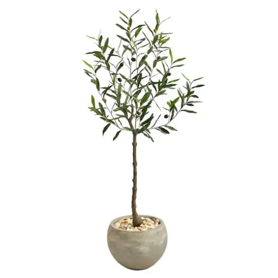 4ft. Olive Tree in Sand Colored Planter {1}
