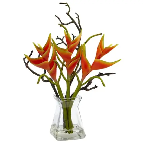 17" Orange Heliconia Arrangement in Glass Vase {1}